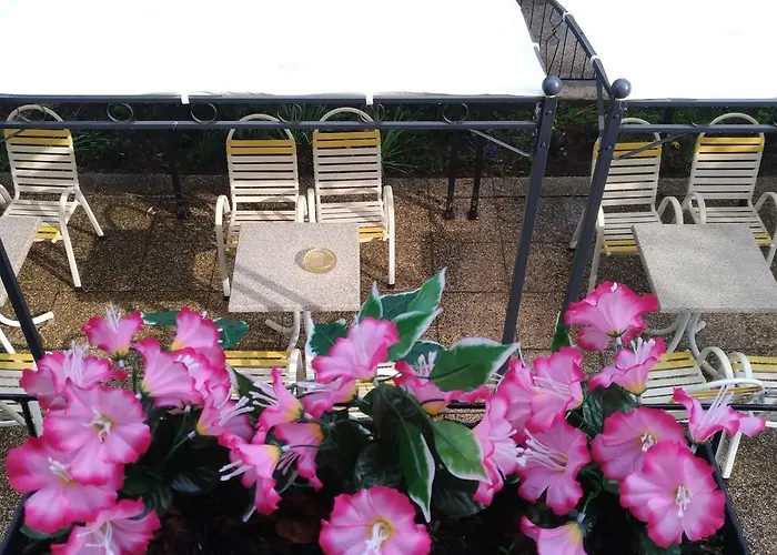 Πανσιόν Anna Cesenatico